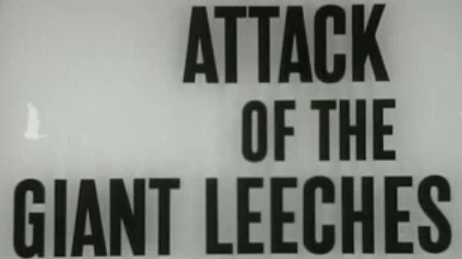 Thumbnail image for Classic Movies - Attack of the Giant Leeches